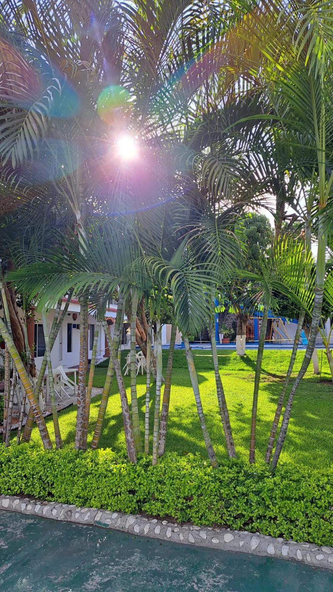 Hotel Quinta Paraiso Cocoyoc Eksteriør bilde