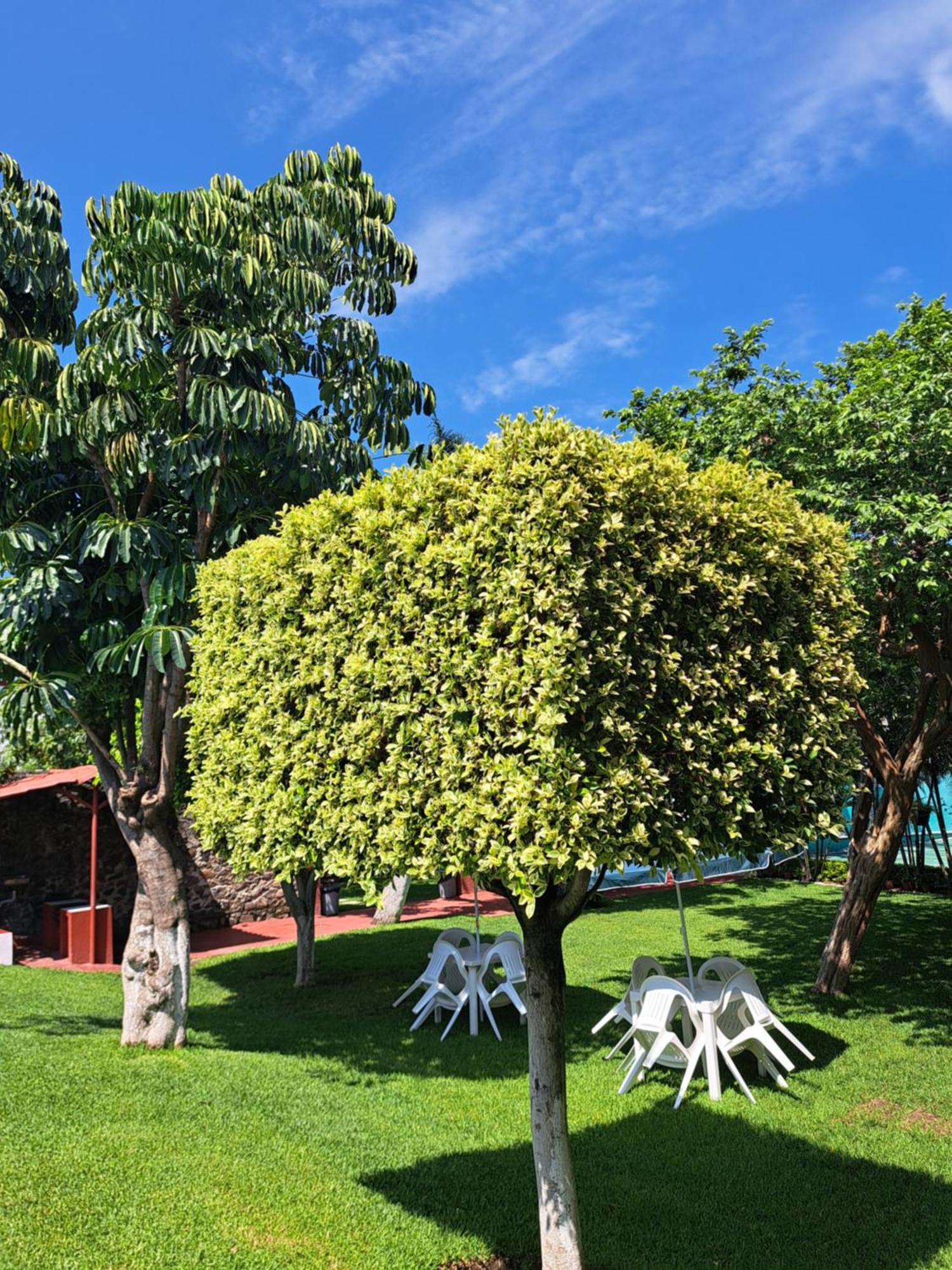 Hotel Quinta Paraiso Cocoyoc Eksteriør bilde